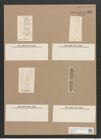 Navicula pinnularia Cleve (de-Toni-Nr.: Genus 1, Species 385) Zeichnungen Sammlung Grunow Nr. 863 (NHMW-BOT-W0367310)